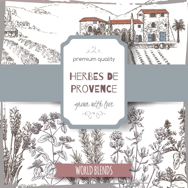 Herbes label with cottage, lavender, oregano, rosemary, thyme, basil. - Vector, Image