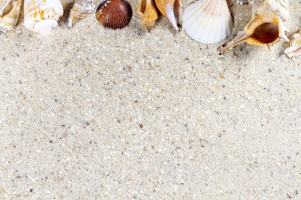 Cestovní pozadí s pískem a skořápky. Letní pláž. - Fotografie, Obrázek