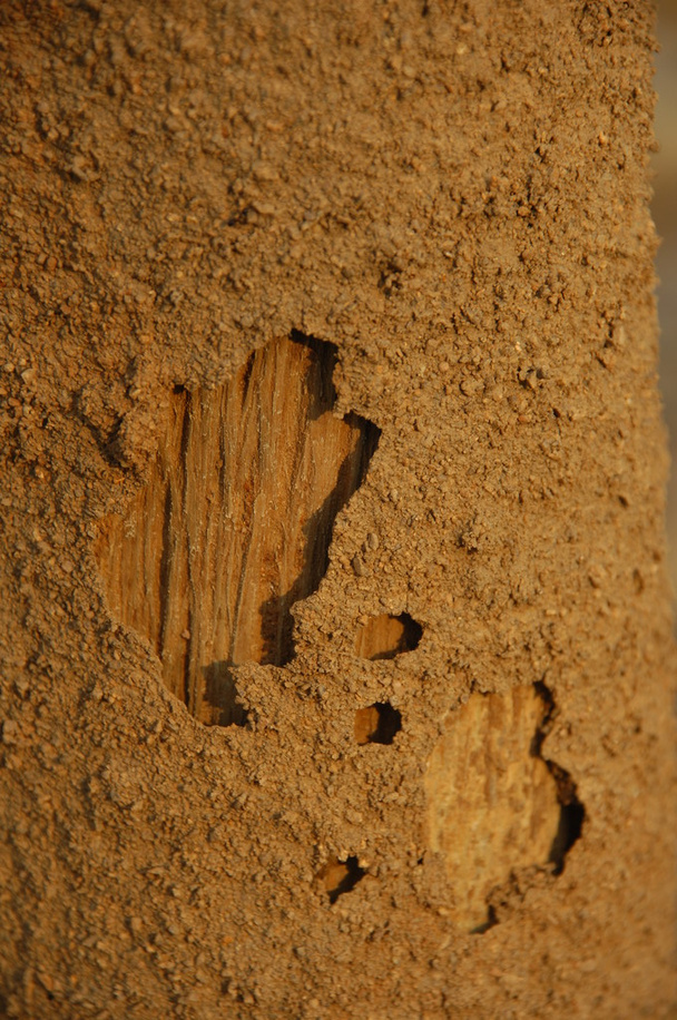 Piedra cruda Textura primer plano - Foto, Imagen