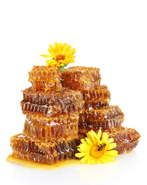 Sweet honeycomb with honey, bee on flowers, isolated on white - Photo, Image