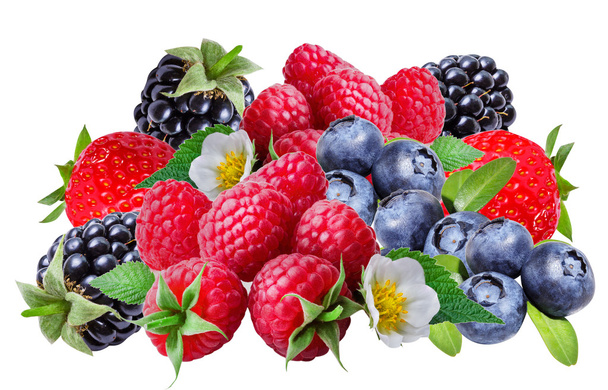 Mûres, framboises, fraises et bleuets, isolées
  - Photo, image