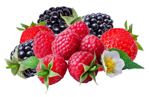 Mûres, framboises et fraises isolées
  - Photo, image