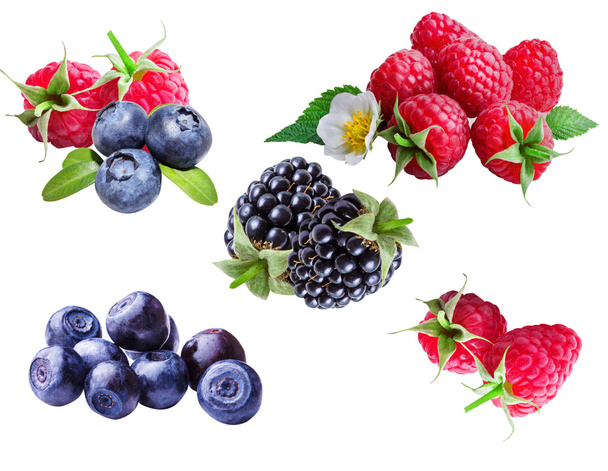 Bilberries, blueberries, raspberries and blackberries  - Foto, Bild
