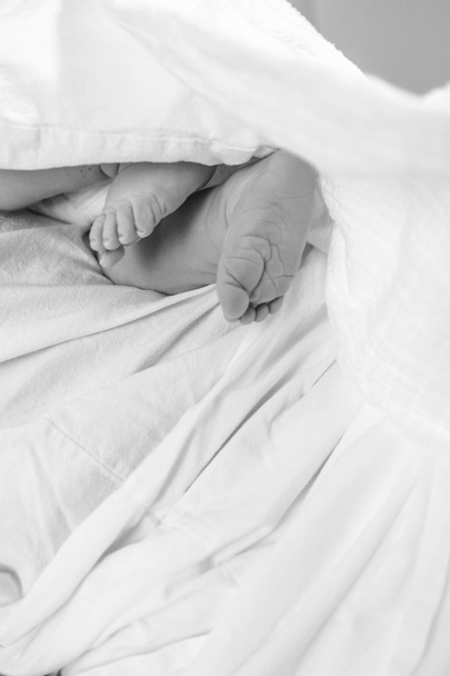 newborn child's feet - Zdjęcie, obraz