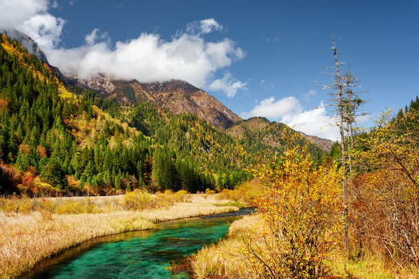 Beautiful green river with crystal clear water among fall fields - Foto, immagini