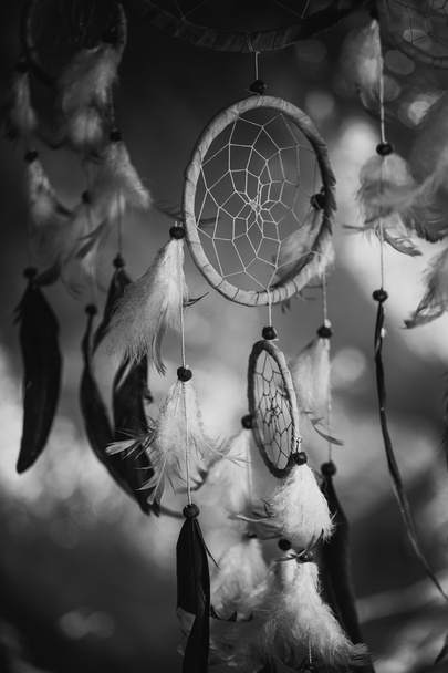 black and white photo of a dream catcher at sunset purple dark background - Photo, image