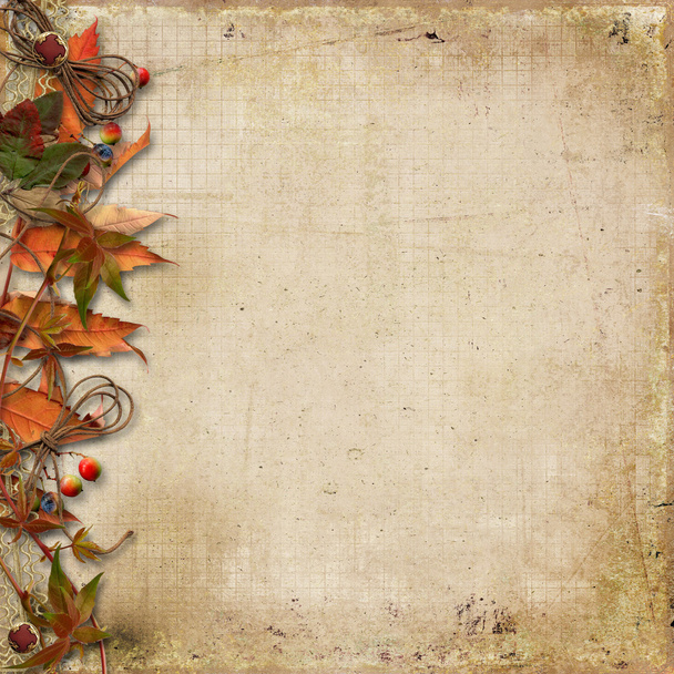 autumn leaves and red berries  - Fotó, kép