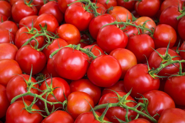 czerwony pomidor tło - pomidory surowe zbliżenie - Zdjęcie, obraz