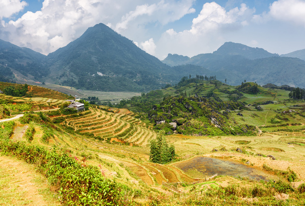 View of rice terraces in the Hoang Lien Mountains, Vietnam - Photo, image