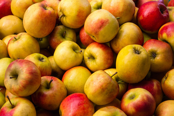 muchas manzanas - fondo de fruta de manzana
 - - Foto, imagen