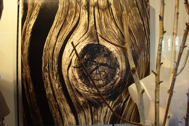 textura de madera vieja de cerca - Foto, Imagen
