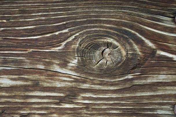 textura de madera vieja de cerca - Foto, Imagen