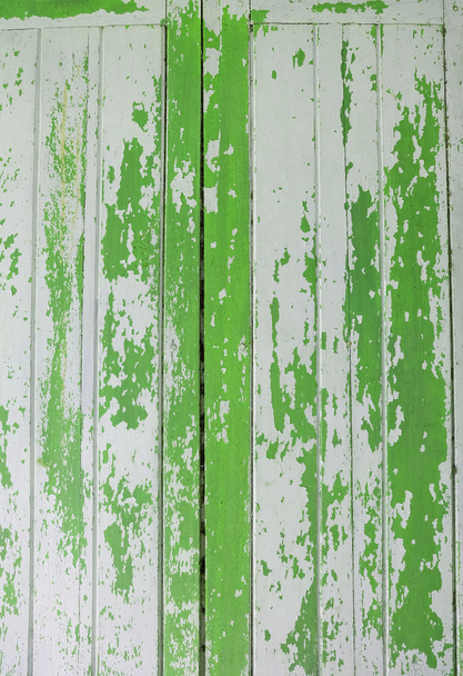 森の中の緑のペンキ、壁紙をはがれてください。 - 写真・画像