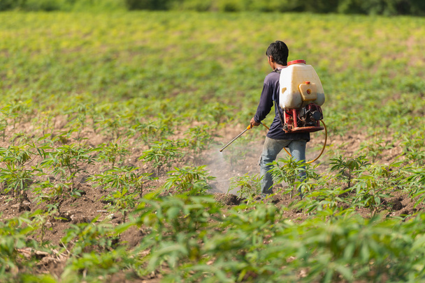 Muž farmář sprej herbicidů nebo chemických hnojiv na fi - Fotografie, Obrázek