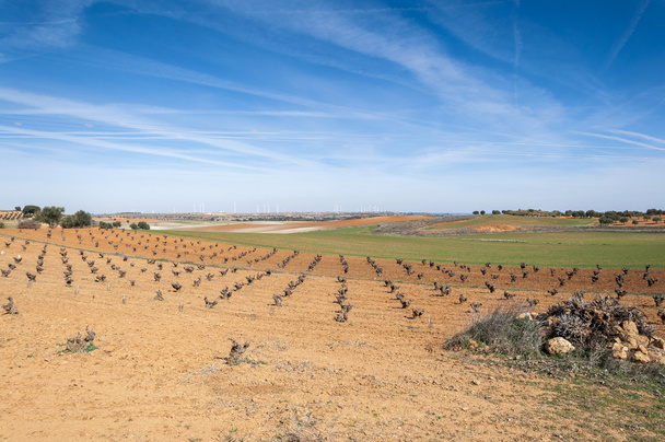 Μωσαϊκών γεωργικής τοπίου στην επαρχία του Τολέδο - Φωτογραφία, εικόνα