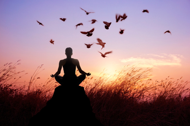 Meditación femenina y yoga con pájaros, silueta en la puesta de sol de la naturaleza
 - Foto, Imagen