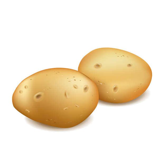 Two potatoes isolated - Vector, Image