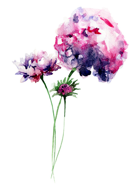 Beautiful Hydrangea flower - Fotó, kép