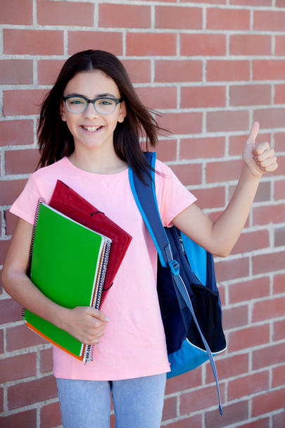 Preteenager girl with backpack and books - 写真・画像
