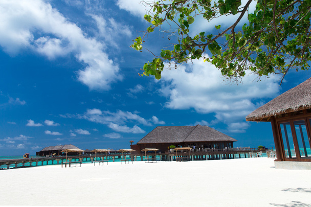 plage tropicale aux Maldives - Photo, image