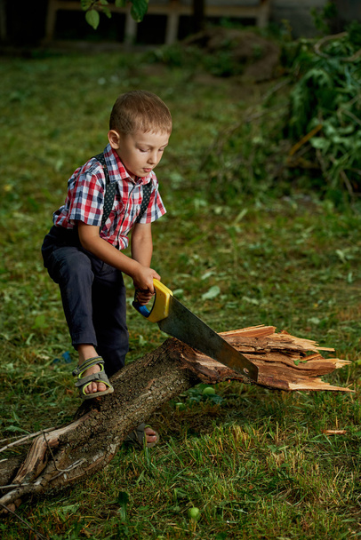 boy sawing fallen tree in garden - Foto, Imagem