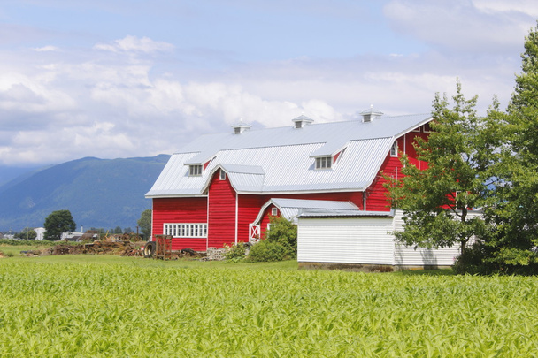 Red Barn with Green Landscape - Photo, image