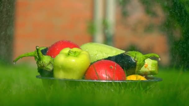 Different vegetables in the grass and falling water drops, super slow motion shot, 500 fps. Green tone - Materiaali, video