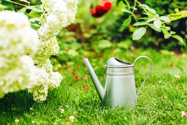Outdoor gardening tools watering can on nature flower - Zdjęcie, obraz