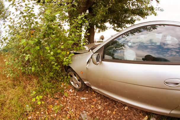 Car against a Tree, Italy - Photo, Image