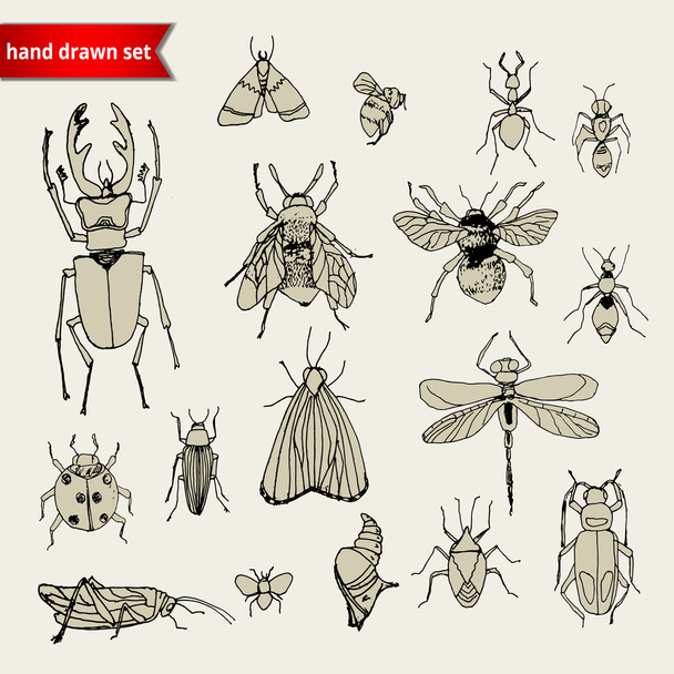 set of doodle insects, sketch - Vector, Image