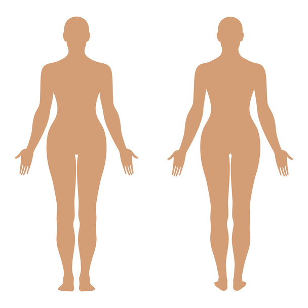 Moda figura modello solido della donna silhouette
 - Vettoriali, immagini