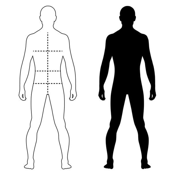 Человек моды наметил шаблон фигуры силуэт с отмеченным телом
 - Вектор,изображение