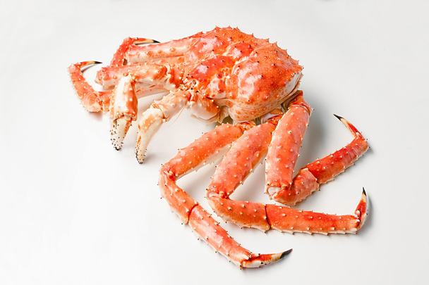 Large red king kamchatsky crab on white background - Photo, Image
