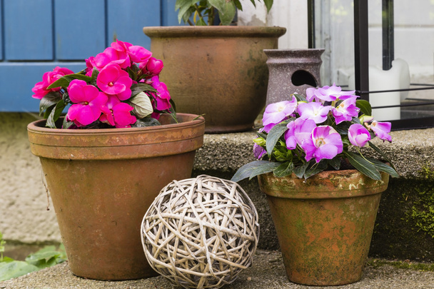 still live with flower pots - Photo, Image