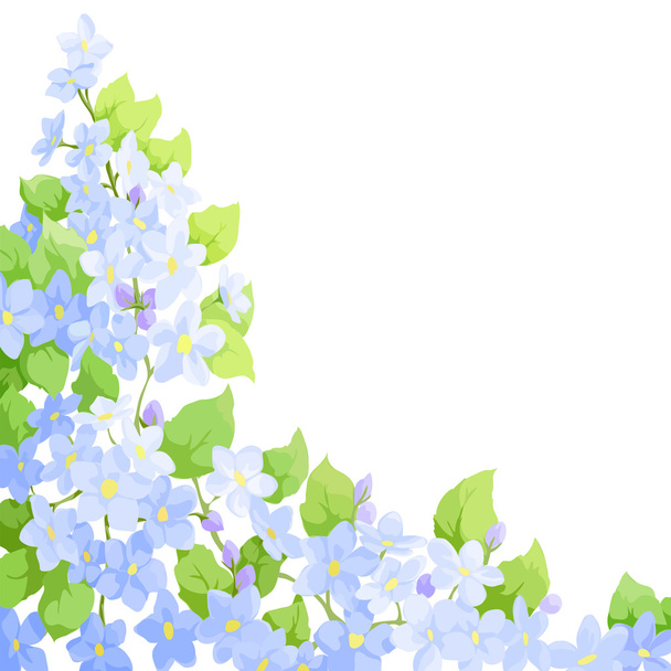 forget me not background - Vector, Image
