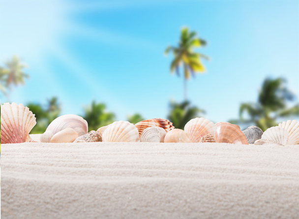 Summer concept, flip-flops, summer accessories on summer beach - Фото, изображение