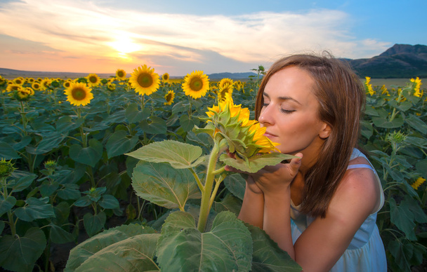 Nainen auringonkukkapellolla - maaseudun elämän ja aromaterapian käsite
 - Valokuva, kuva