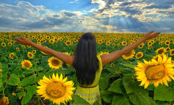 appy carefree summer girl in sunflower field in summer with arms raised up - Photo, Image