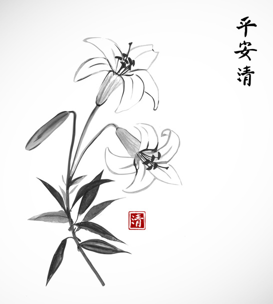 Lily flowers on white background - Vector, Imagen