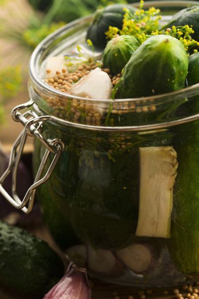 Closeup of fresh pickling cucumbers - Photo, Image