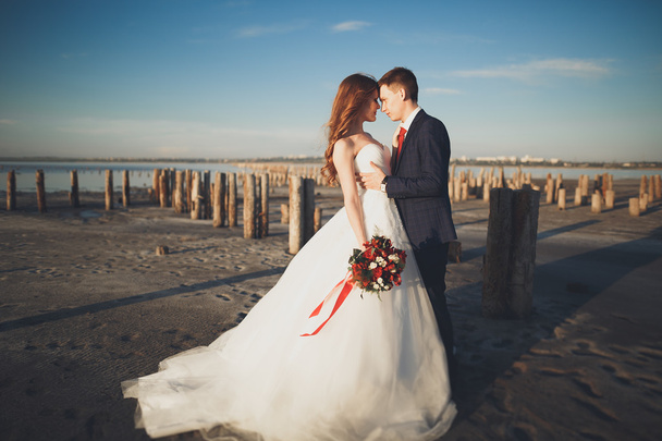 Elegant stylish happy wedding couple, bride, gorgeous groom on the background of sea and sky - Foto, Imagem