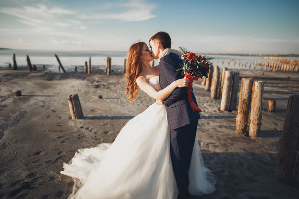 Elegant stylish happy wedding couple, bride, gorgeous groom on the background of sea and sky - Φωτογραφία, εικόνα