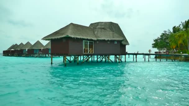 Όμορφη Μαλδίβες νησί με ωκεανό - Πλάνα, βίντεο