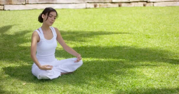 nő meditáló természet - Felvétel, videó