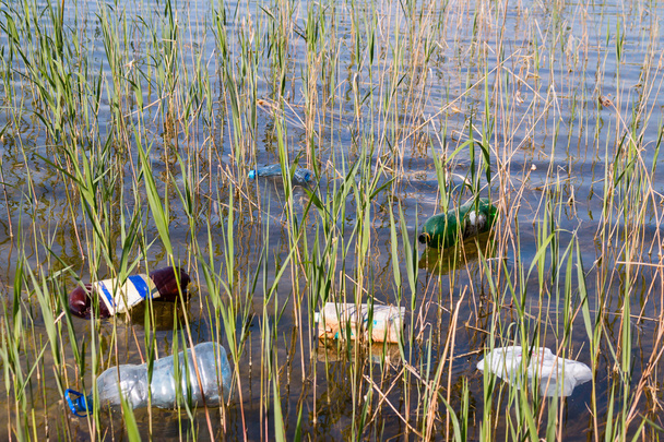garbage in the lake - Foto, imagen