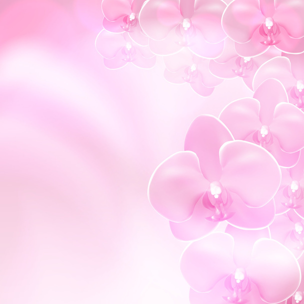 Pink flower orchid background - Vektor, kép