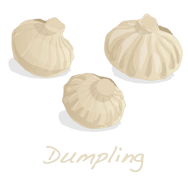 Dumpling vector illustration.  - Διάνυσμα, εικόνα