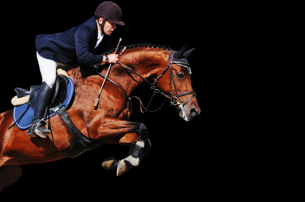 Equestrian: rider with bay horse in jumping show, isolated on black ackground - Photo, Image