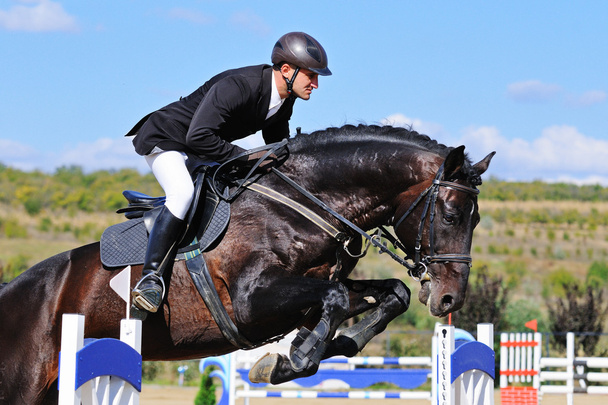 Rider on bay horse in jumping show - Photo, Image