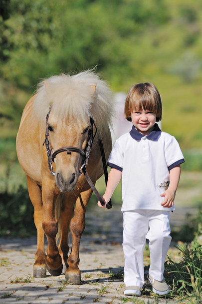 First lessons of horseback riding - Foto, Imagem
